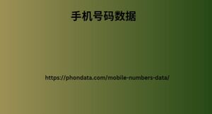 手机号码数据