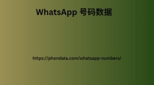 WhatsApp 号码数据