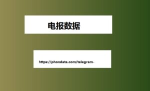 美国电报号码