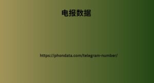 电报数据